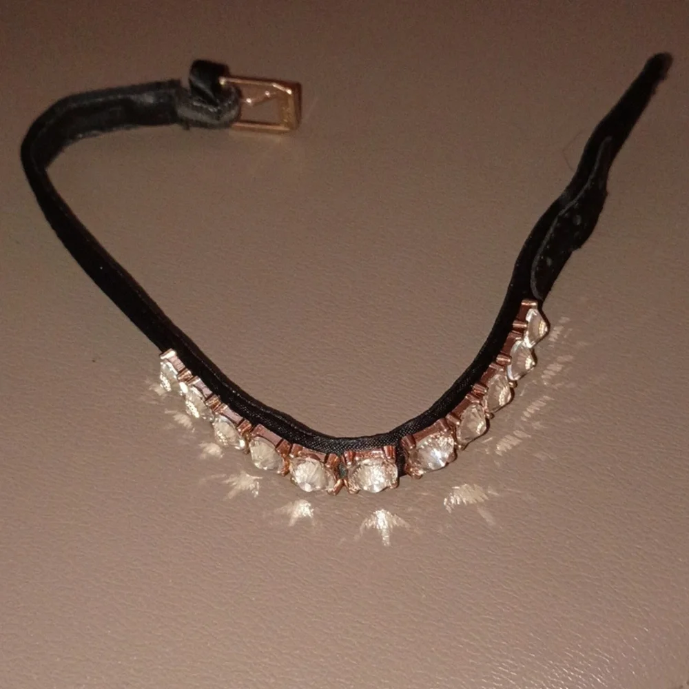 Elegant Black and Gold Cat or Small Dog Collar
